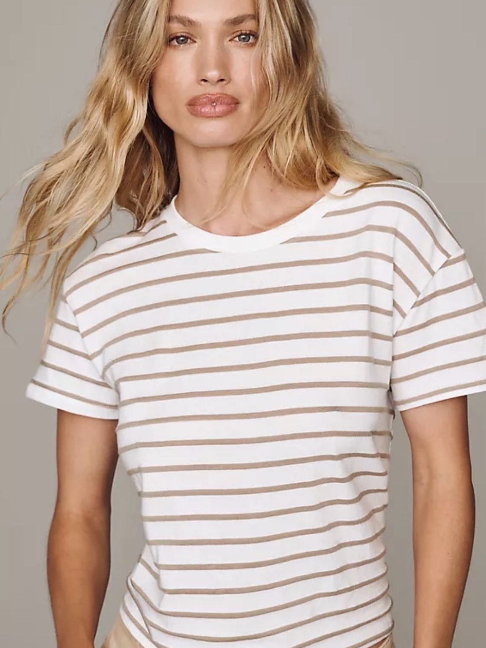 perfectwhitetee Everett stripe tee in driftwood stripe, xs